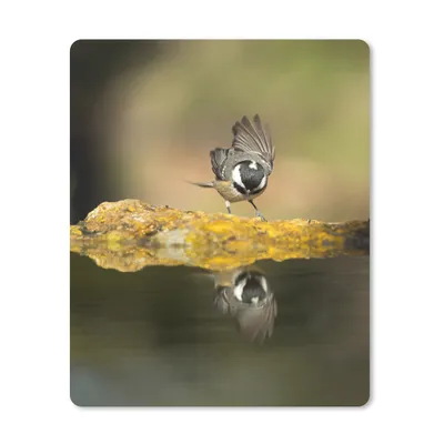 Produktbild von MuchoWow® Mauspad Mousepad Eine Kohlmeise am Wasser 30x40 cm - Mousepads - Maus Mat - Pad - Mausunterlage - Mausmatten