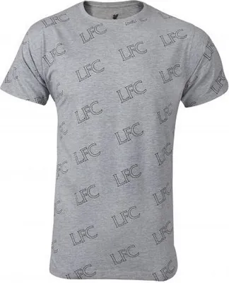 Produktbild von Liverpool FC - T-Shirt für Herren BS3299 (S) (Grau)