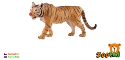 Produktbild von Indischer Tiger, Zooted-Modell, 13,5 cm