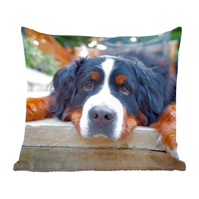 Produktbild von MuchoWow® Zierkissen Sofakissen Wohnzimmer Dekokissen 45x45 cm Shady Berner Sennenhund - Schlafpolster - Polster für das Sofa