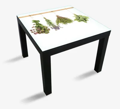 Produktbild von Wallario Möbeldesign -  Glasplatte, Schutzplatte mit Motiv - geeignet für Ikea Lack Tisch, Größe: 55 x 55 cm, Motiv: Verschiedene Kräuter an der Leine