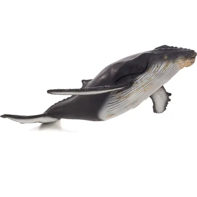 Obrázok produktu pre Mojo Fun Humpback Whale Large (Portugal), 3 rok / roky, SEALIFE, Šedá, Biela, Polyvinylchlorid (PVC)