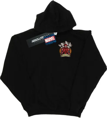 Produktbild von Marvel - Kapuzenpullover für Herren BI16280 (3XL) (Schwarz)