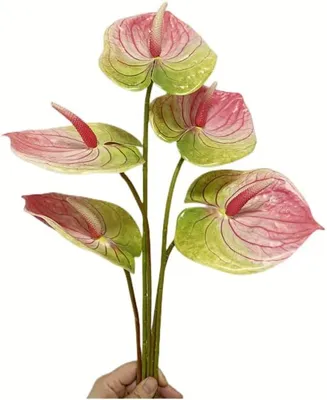 Immagine prodotto di Anthurium artificiali, 5 pezzi, 61 cm, color rosa, per decorazione