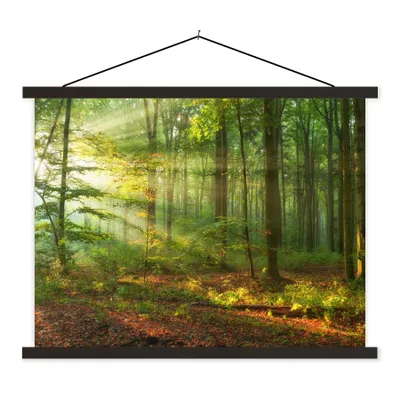 Produktbild von MuchoWow® Textilposter Sonne - Wald - Bäume - Natur - Herbst 60x45 cm mit schwarzem Rahmen - Poster Schlafzimmer