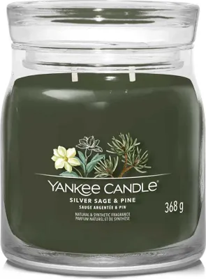 Obrázek produktu pro Yankee Candle Silver Sage & Pine, Válec, Zelená, 1 kusů