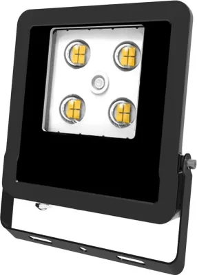 Zdjęcie produktu dla Reflektor LED 4000K - Downlight / spot / naświetlacz LFE100940