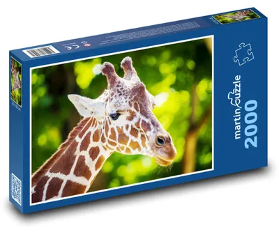 Obrázek produktu pro martinpuzzle - Puzzle 2000 - Žirafa