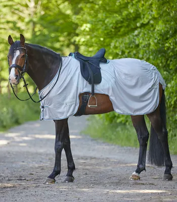 Produktbild von Waldhausen Fliegenausreitdecke Protect