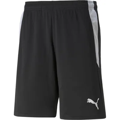 Zdjęcie produktu dla Spodenki sędziowskie Puma teamLIGA