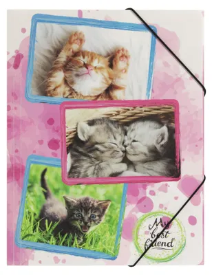 Produktbild von PAGNA Eckspannermappe "Katzen" DIN A3 aus PP