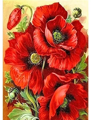 Diamond Painting Klaprozen 30x40 cm, Blumen, DIY Wanddeko