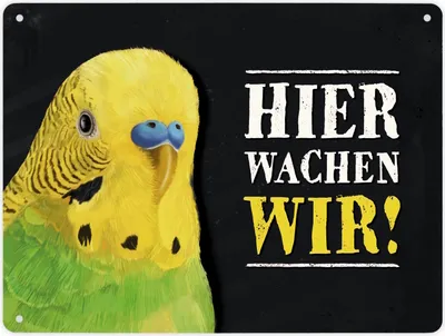 Produktbild von Hier wachen wir! Metallschild XL mit Wellensittich grün Motiv Schild