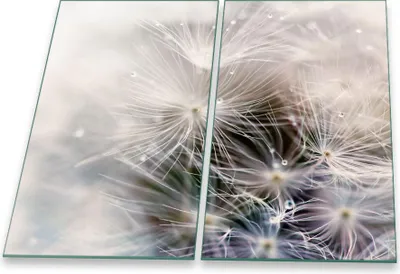 Produktbild von Herdabdeckplatte Abdeckung Glaskeramikfeld Abdeckplatte 2-Teilig 60x52 Pusteblume Grau