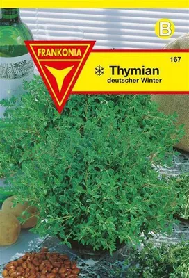 Produktbild von Thymian