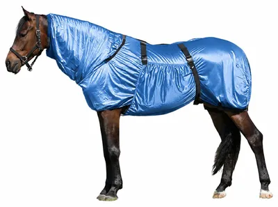 Produktbild von Ekzemerdecke Farbe - Hellblau Größe (Pferdedecke) - 85 cm