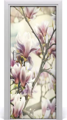 Produktbild von Tulup Türaufkleber 85x205 cm Dekorative Aufkleber Selbstklebend Wasserdichte Tapete Abnehmbar Schlafzimmer Wohnzimmer Wohnkultur - Magnolia
