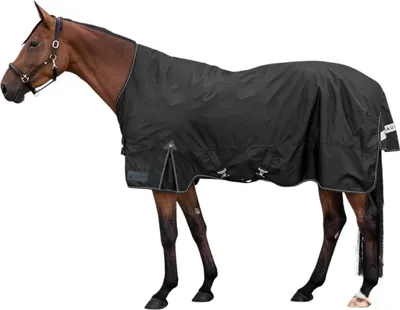Produktbild von Waldhausen Outdoordecke Arctic High Neck Light