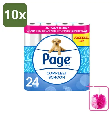 Imagen del producto de 10 rollos de papel higiénico de doble capa, paquete económico, contiene 10 unidades