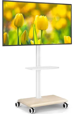 Image de Support TV mobile sur roulettes pour téléviseurs de 27 à 55 pouces - Réglable en hauteur et rotatif