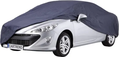 Immagine prodotto di CARTREND copertura per veicoli 70333 483cm 208cm 150cm