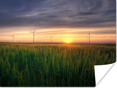 Produktbild von MuchoWow® Poster Windmühle - Sonne - Gras 160x120 cm - Foto Plakat