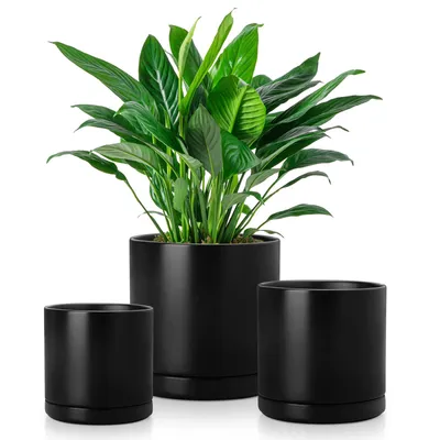 Image de Pot de fleurs en faïence vancasso, lot de 3 pots avec soucoupes pour plantes succulentes et plantes vertes, ronds, noirs