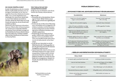 Produktbild von Persönlichkeitsanalyse für Hunde