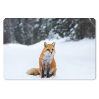 Produktbild von MuchoWow® Schreibtischunterlage Fuchs - Schnee - Wald 60x40 cm - XXL Mauspad - Großes Mauspad