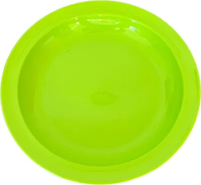 Produktbild von Rival Party-Teller, 24cm, grün, Mehrweg Kunststoffteller, Campinggeschirr