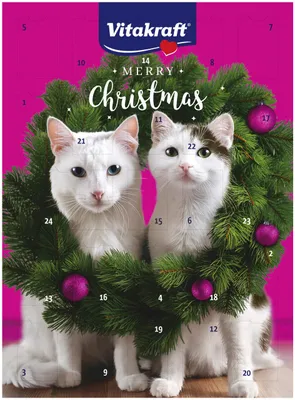 Produktbild von Vitakraft Adventskalender für Katzen