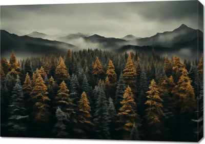 Zdjęcie produktu dla Obraz 100x70cm Mglisty Poranek