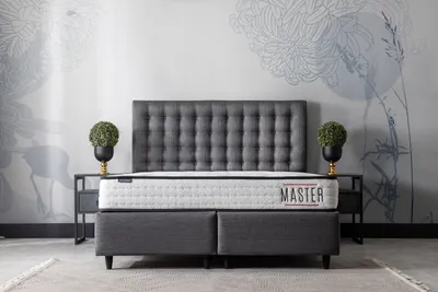 Produktbild von Master Bett Set, Liegefläche:160x200, Produkt:Bett Set (mit Matratze), Farbe:Anthrazit