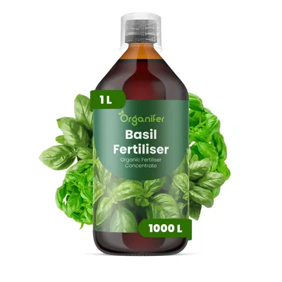 Zdjęcie produktu dla Nawóz Płynny dla Bazalku 1 L – 2-1-8 NPK – Do Zioła i Zeleninu – Do Silne Listy i Aromatyczne Zioła – Podporuje Korzenie i Vitalitu – Organifer