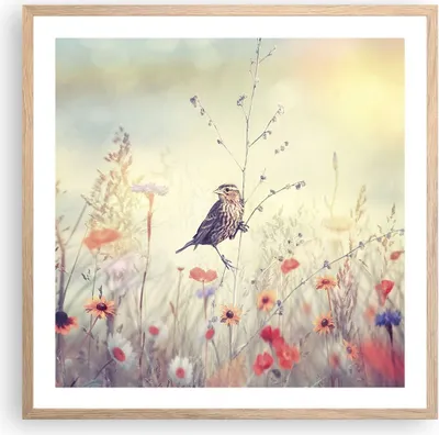 Produktbild von Gerahmtes Poster - Rahmen in heller Eiche - Vogel Wildschwein Wiese - 60x60 cm - Wand Bild - Wanddeko - Wandbilder - Wandposter - Bilderrahmen - Bilder - Kunstdruck - Wandbild - P2NAC60x60-4279
