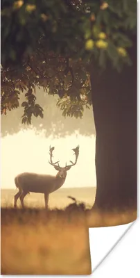 Produktbild von MuchoWow® Poster Hirsche - Bäume - Wald 60x120 cm - Wandschmuck