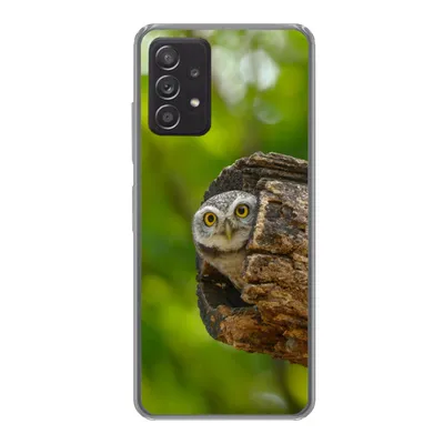 Produktbild von MuchoWow® Handyhülle Schutzhülle Hülle für Samsung Galaxy A33 5G Eule - Baby - Baum Silikon Softcase Handy Hülle - Kartenhalter