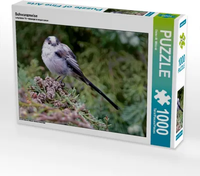 Produktbild von Calvendo Schwanzmeise 1000 Teile Puzzle quer 640x480mm, Wilczek Dieter-M.; 7319001
