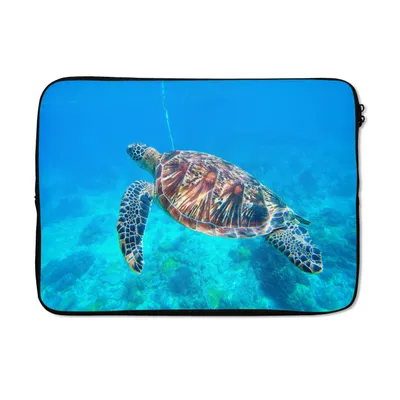 Produktbild von MuchoWow® Laptop Hülle 14 ZollSchildkröte - Meer - Blau Laptoptasche - Laptoptasche - Stoßsicher - Schutzhaube