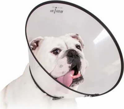 Image de Collier cervical pour chien KVP Saf-T-Clear Transparent (17-20 cm)