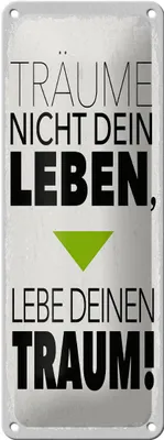 Produktbild von Blechschild Leben lebe deinen Traum, 27 x 10 cm, Blechschilder Spruch Glück Weisheit