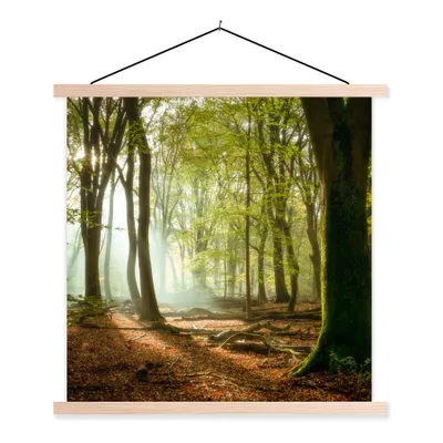 Produktbild von MuchoWow® Textilposter Wald - Sonne - Jahreszeiten - Landschaft 60x60 cm mit holzfarbenen Rahmen - Wanddekoration
