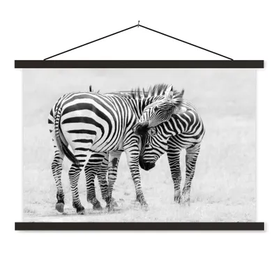 Produktbild von MuchoWow® Textilposter Zebra - Tiere - Natur - Safari 90x60 cm mit schwarzem Rahmen - Aufhängungssatz