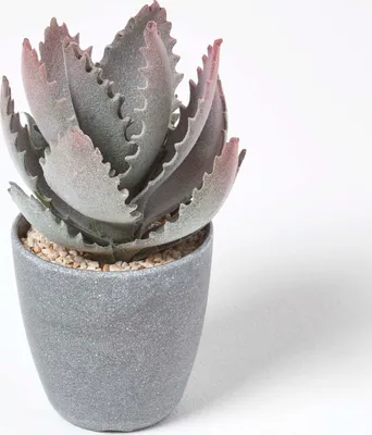 Obrázek produktu pro HOMESCAPES Malá umělá aloe vera v melaminovém květináči, 21 cm vysoká