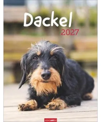 Obrázek produktu pro Kalendář s jezevčíky 2027