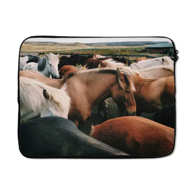 Produktbild von MuchoWow® Laptop Hülle 17 Zoll Laptoptasche Pferde - Tiere - Spiel - Zipper - Schutzabdeckung