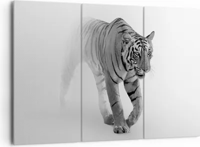 Produktbild von Bild auf Leinwand - Leinwandbild - 3 Teile - Tiger Monochrom Porträt - 165x110cm - Wand Bild - Wanddeko - Wandbilder - Leinwanddruck - Bilder - Wanddekoration - Leinwand bilder - CE165x110-4626