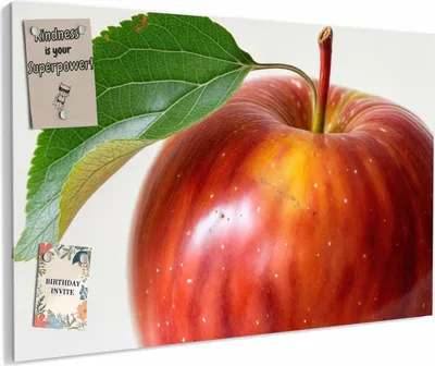 Produktbild von Magnettafel 90 x 60 cm „Roter Apfel mit Blatt“ – Magnetwand aus Metall, beschreibbar mit Whiteboard-Marker – Memoboard für Küche & Büro