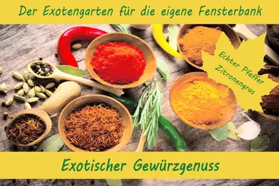Artikelbild 1 von 'Anzuchtset-Exotischer Gewürzgenuss' aus der Kategorie Anzuchtsets