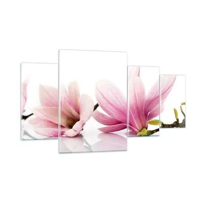 Produktbild von Bilder auf glas - Magnolie blume natur pflanze - 160x90cm - Glasbilder - Wandbilder - Kunstdruck - zum Aufhängen bereit - Wanddekoration aus Glas - Glas Bilder - Wandbild auf Glas - GDL160x90-2641